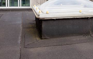 disadvantages of Ebernoe flat roofs